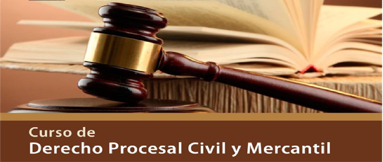 DERECHO PROCESAL I -J- (Lic. William Francisco Valdez)