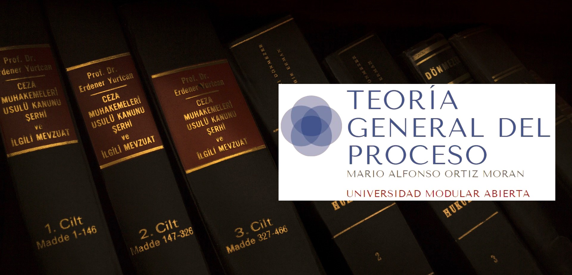 TEORÍA GENERAL DEL PROCESO -I- (Maestro Mario Alfonso Ortiz Morán)