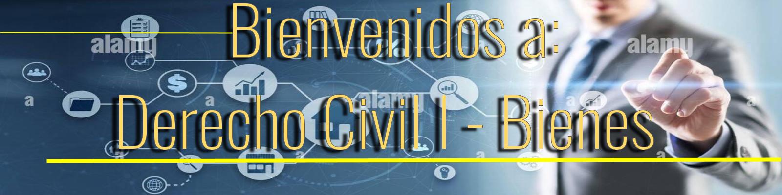 DERECHO CIVIL I -Ñ- (Maestro Mario Alfonso Ortiz Morán)