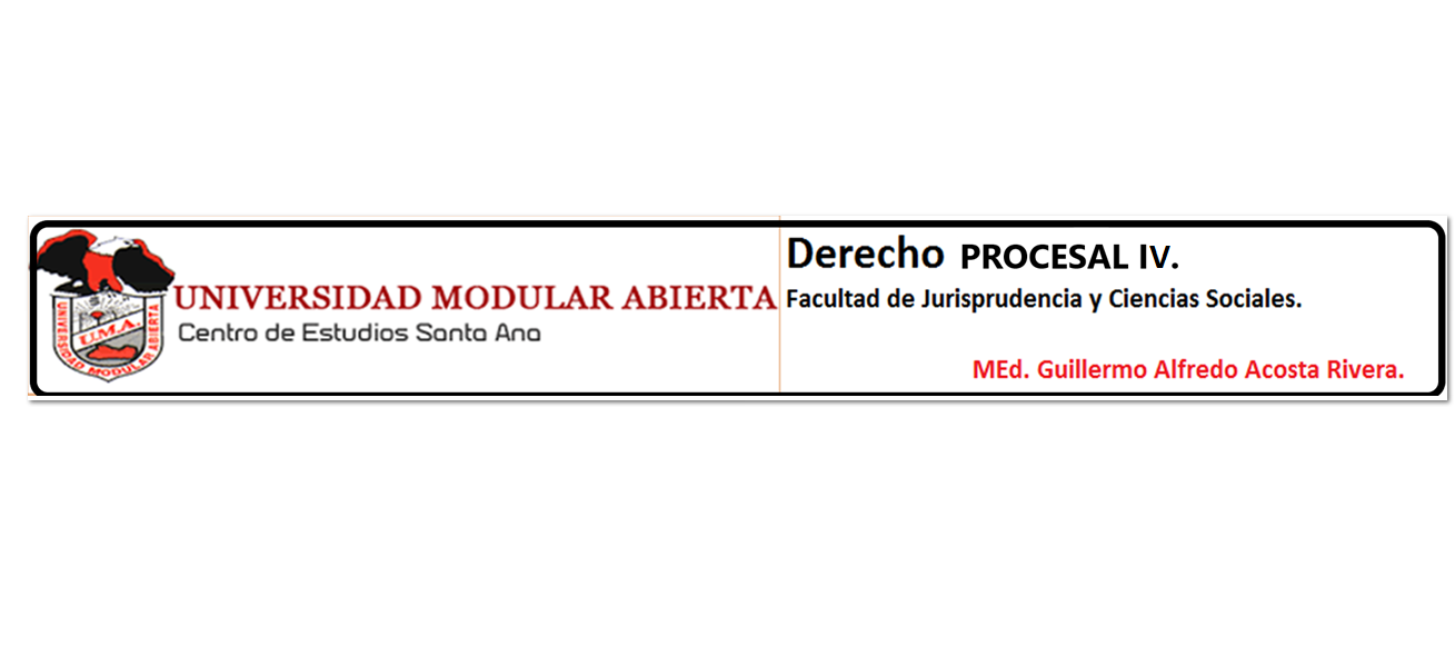 DERECHO PROCESAL IV -J- (Maestro Guillermo Alfredo Acosta)